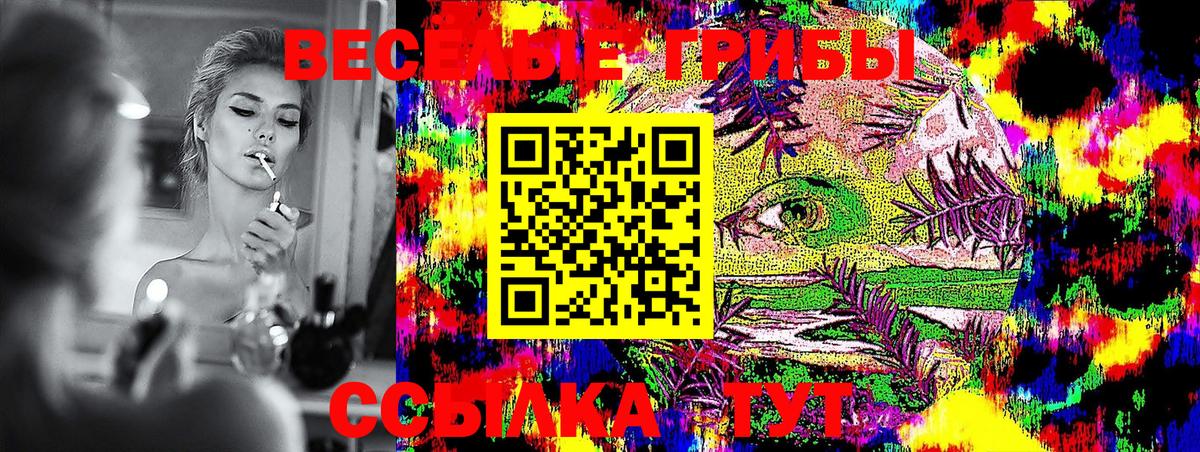 купить наркоту  Вход с VPN  Кировск  Псилоцибиновые грибы Magic Shrooms 