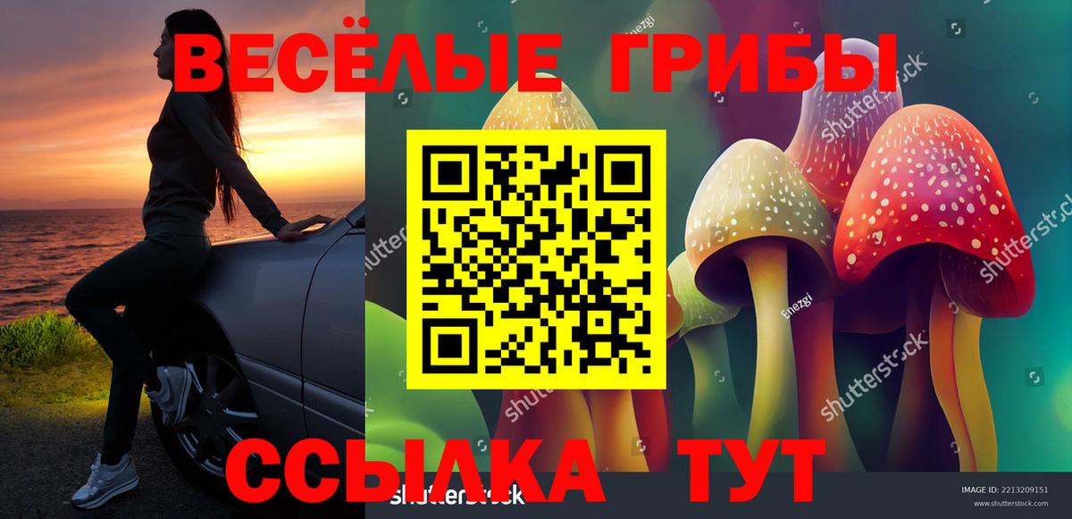 Галлюциногенные грибы GOLDEN TEACHER Кировск
